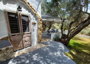 SKYROS BnB, KATOI in Skyros Town